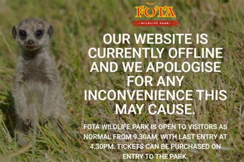 Fota Wildlife Park cyberattack: Criminals tried to .